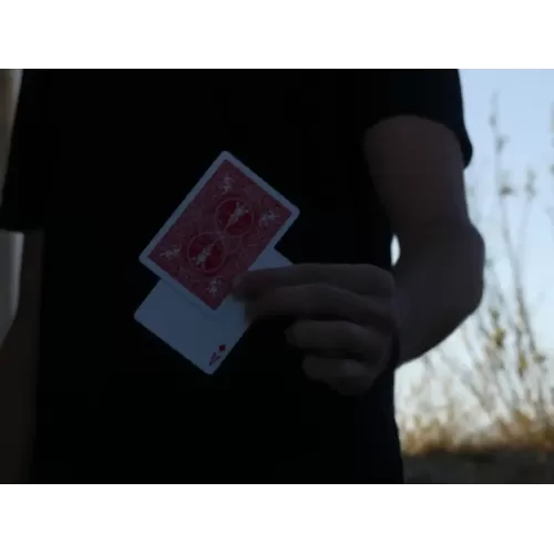 Fliq by Awayee