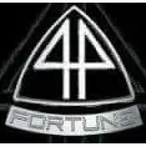 Fortune? by Paul Valentine