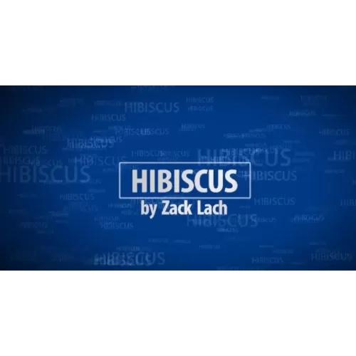 Hibiscus Magician Zack Lach