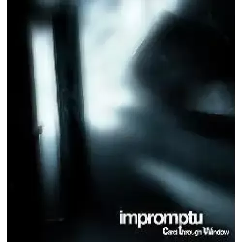 Impromptu Card Through Window by Mason Roberts