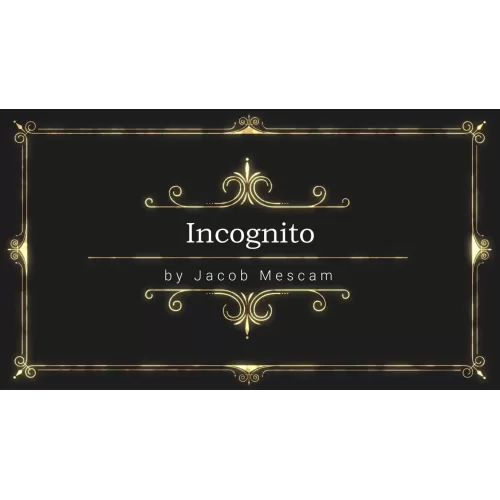 Incognito by Jacob Mescam