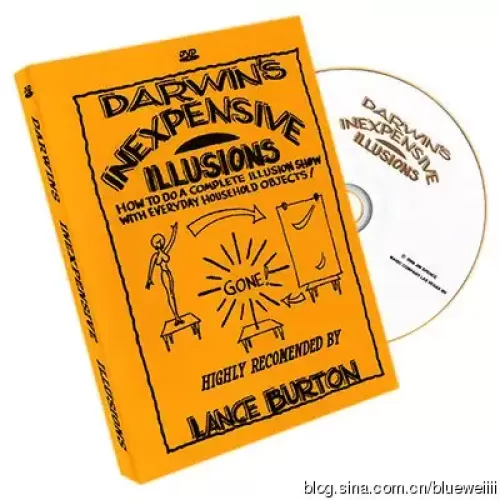 Inexpensive Illusions by Gary Darwin