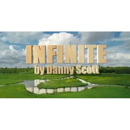 Infinite by Danny Scott