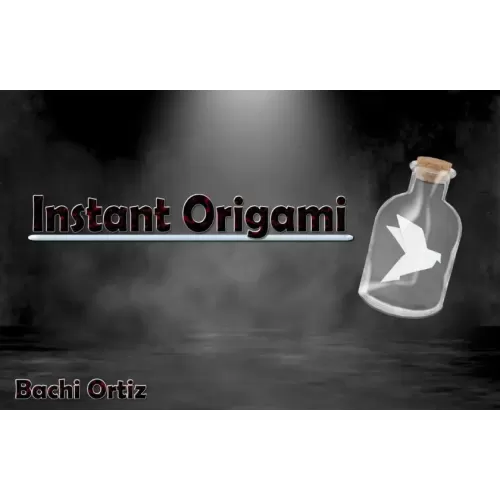 Instant Origami by Bachi Ortiz