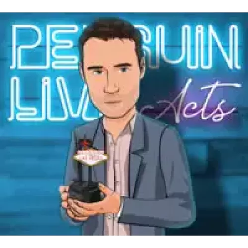 Jack Penguin Live Act