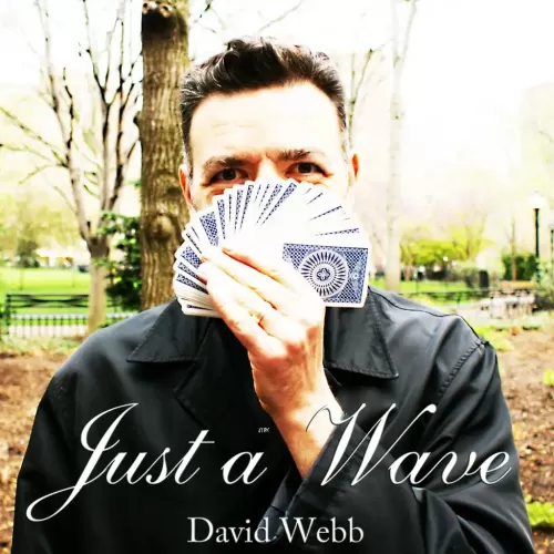 Justawave (Featuring The Easypass) by David Webb