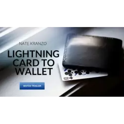 Lightning Card To Wallet by Nathon Kranzo