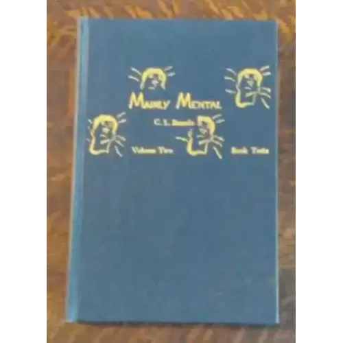 Mainly Mental 2 by C. L. Boarde