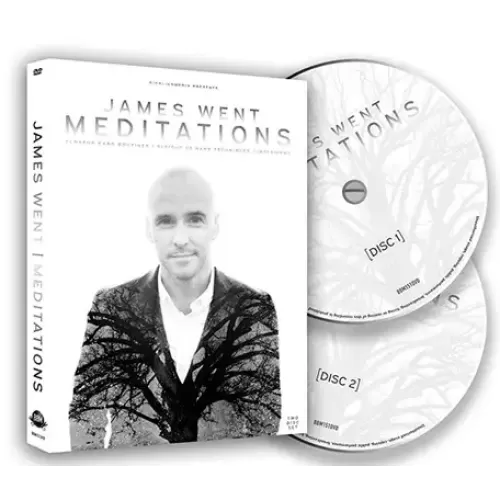 Meditations (1-2) by James Went