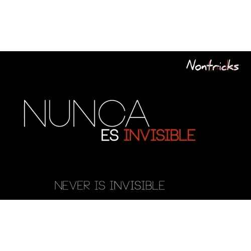 Never Is Invisible by Kiko Pastur