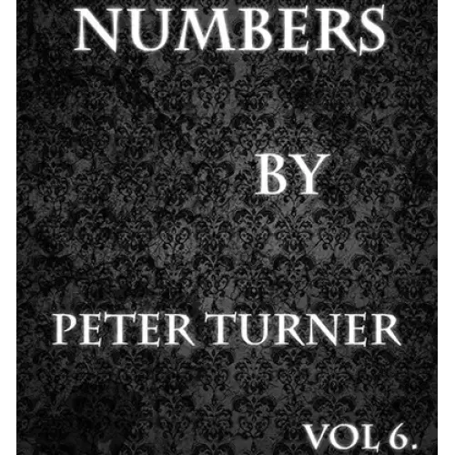 Numbers (Vol 6) by Peter Turner