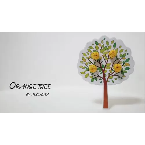 Orange Tree by Hugo Choi