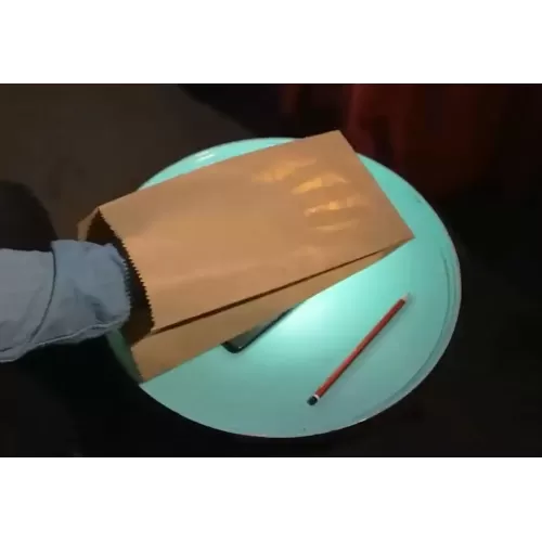Paper Bag by Sansminds Creative Lab