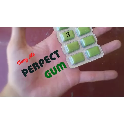 Perfect Gum by Tony Ho & Kelvin Trinh