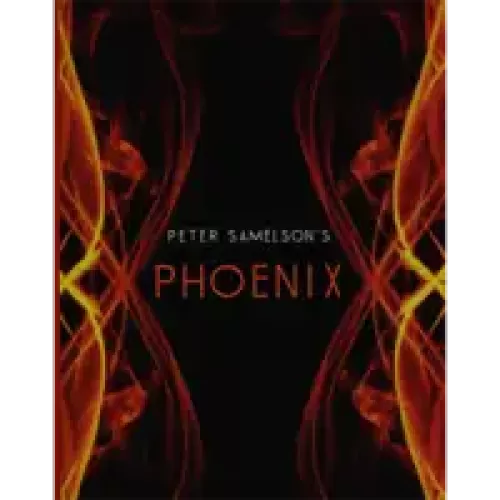 Phoenix by Petert Samelson
