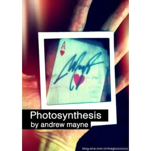 Photosynthesis by Andrew Mayne