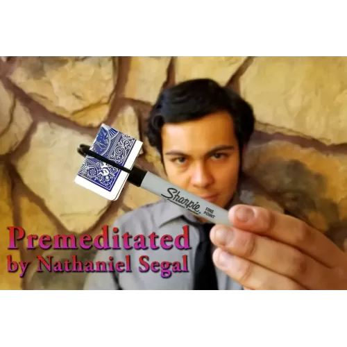 Premeditated by Nathaniel Segal