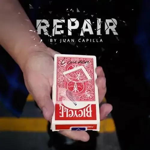 Repair By Juan Capilla & SansMinds