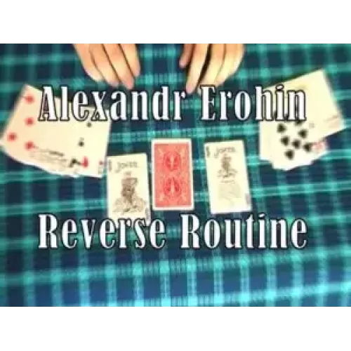 Reverse by Alexandr Erohin