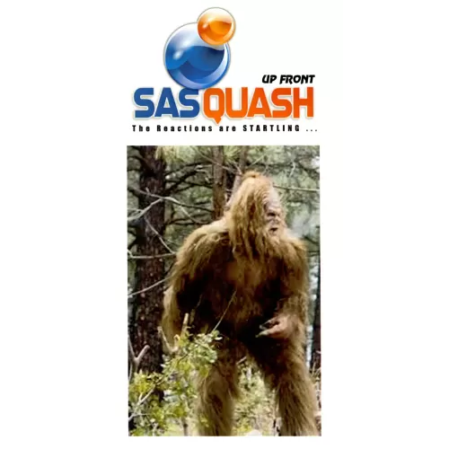 Sasquash Up-Front