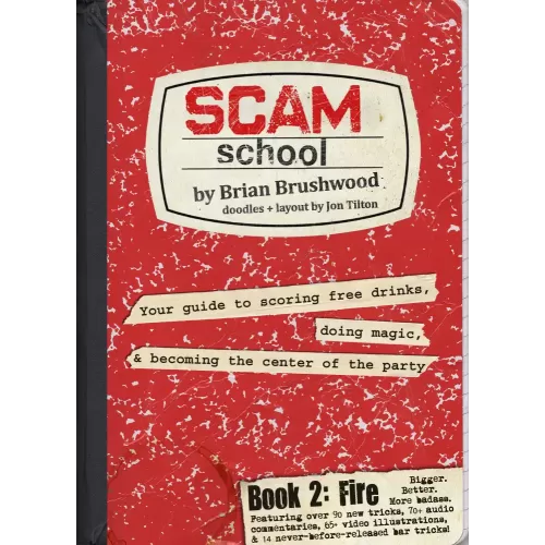 Scam School Book 2 Fire by Brian Brushood