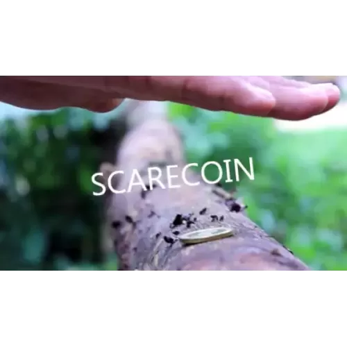 Scarecoin by Arnel Creations