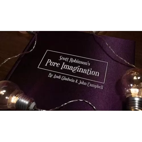 Scott Robinson's Pure Imagination (Ebook) by Andi Gladwin And John Campbell