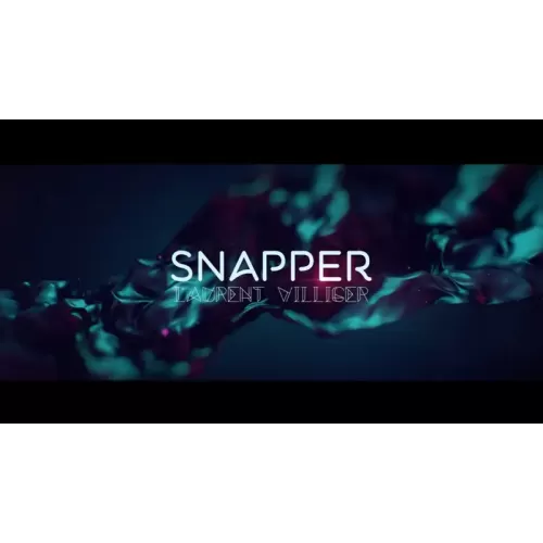 Snapper by Laurent Villiger