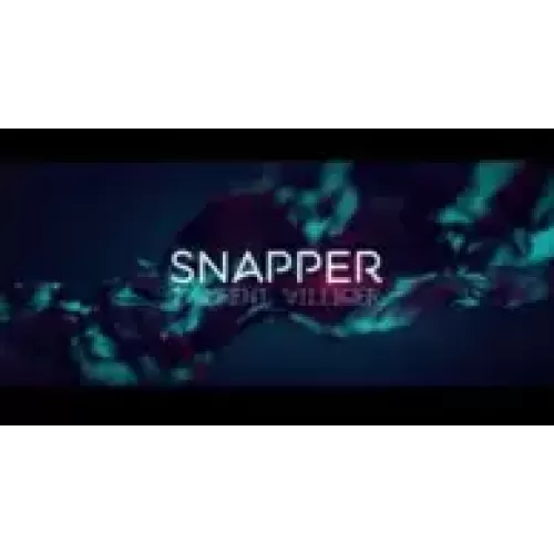 Snapper // Laurent Villiger