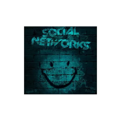 Social Networks by Sylvain Vip & Maxime Schucht & Marchand De Trucs