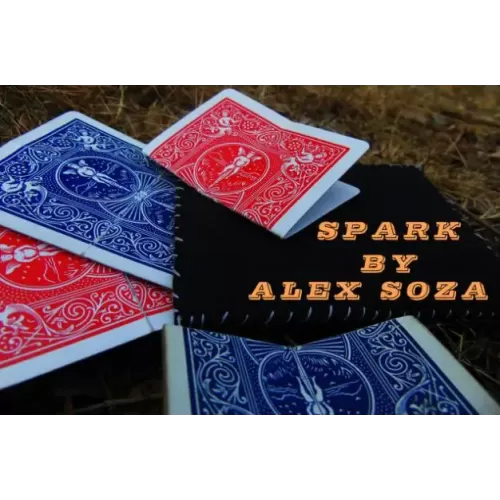Spark by Alex Soza