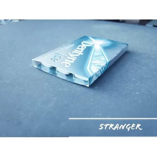 Stranger by Alfred Dockstader