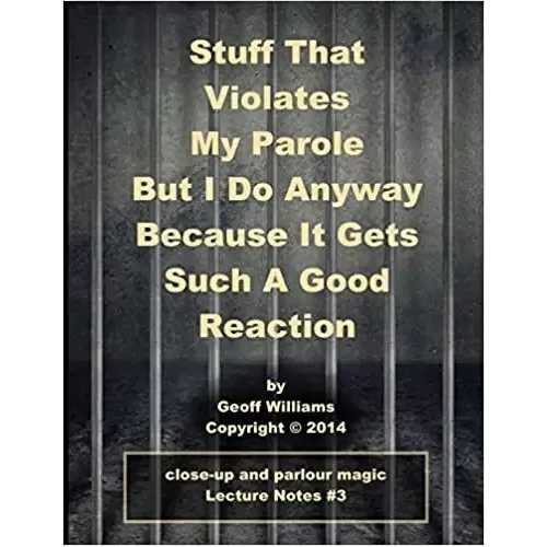 Stuff That Violates My Parole Notes by Geoff Williams