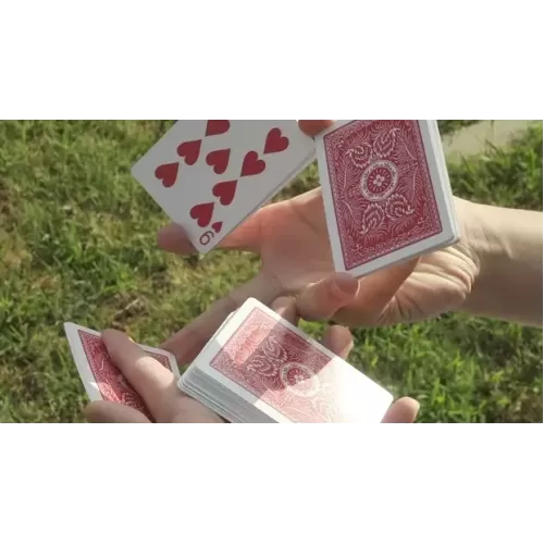 Sugar Packets by Vinney Margot