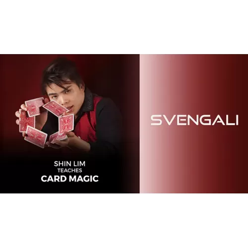 Svengali by Shin Lim