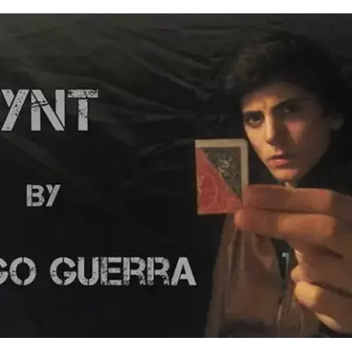 Synt by Tiago Guerra
