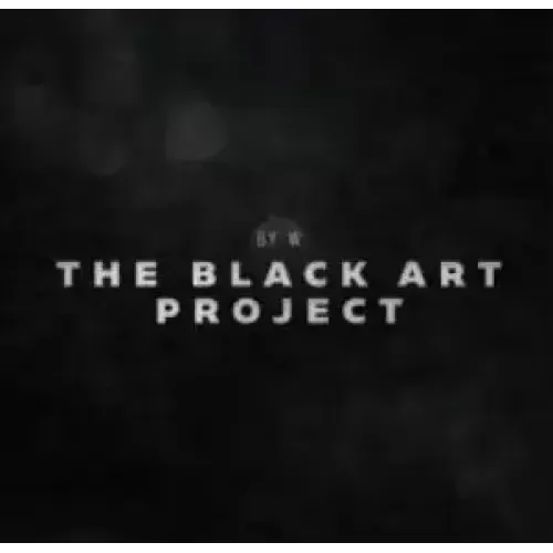 The Black Art Project by Will Tsai