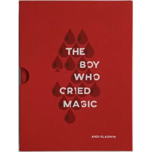 The Boy Who Cried Magic by Andi Gladwin