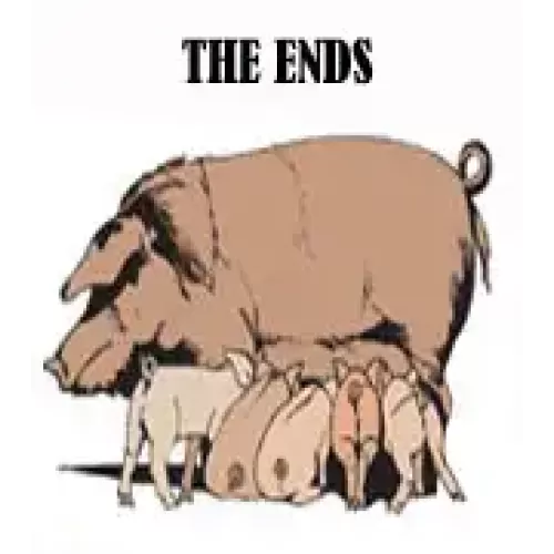 The Ends by Nathan Kranzo