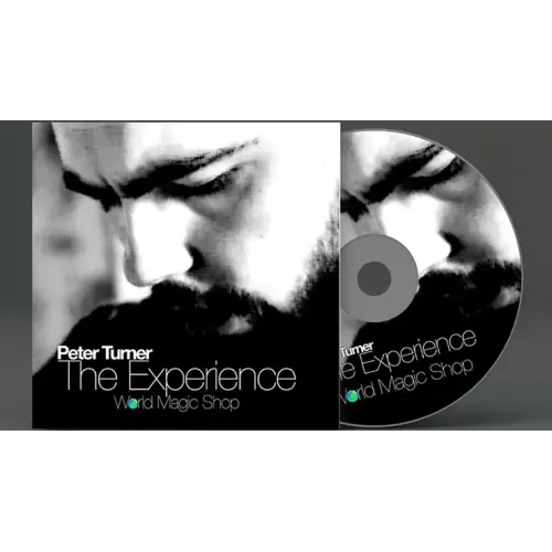 The Experience by Peter Turner