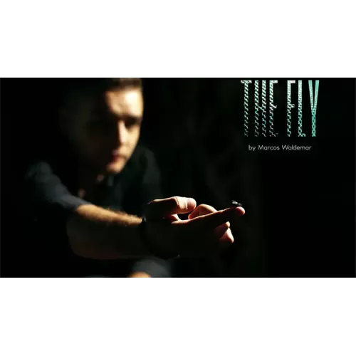 The Fly by Marcos Waldemar