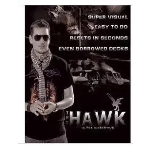 The Hawk by Alexander Kolle