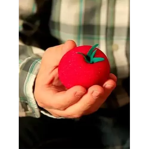 The Incredible Growing Sponge Tomato by Under Magic