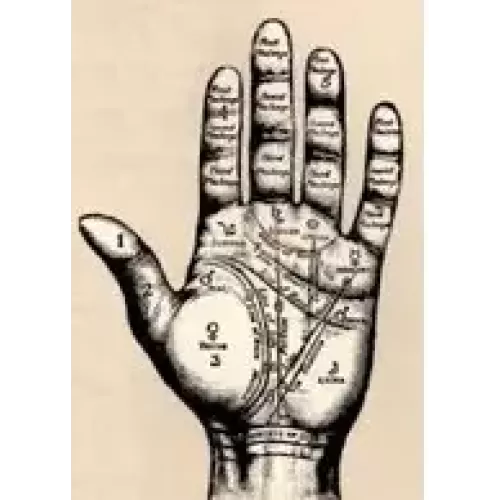 The Magician's Guide To Palm Reading by Paul Voodini