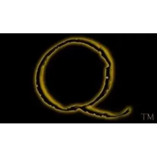 The Quantum Connection by Cosmo Solano