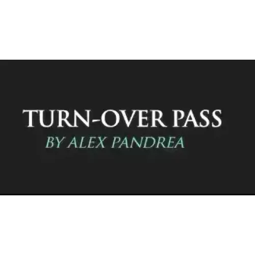The Turnover Pass by Alex Pandrea