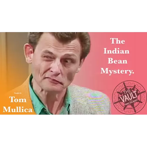 The Vault – Indian Bean Mystery by Tom Mullica