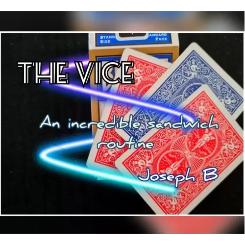 The Vice by Joseph B