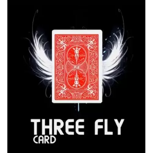 Three Fly Card by Mickael Chatelain