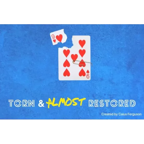 Torn & Almost Restored by Caius Ferguson
